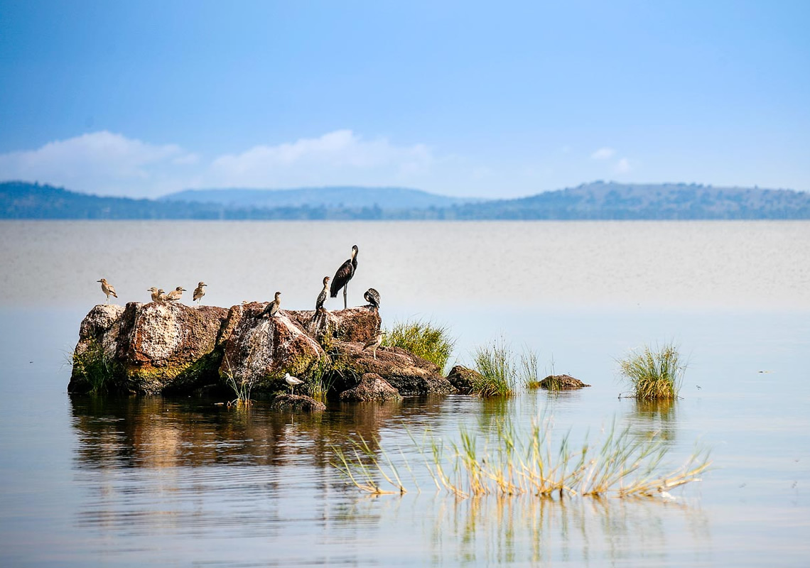 景點-特色-維多利亞湖