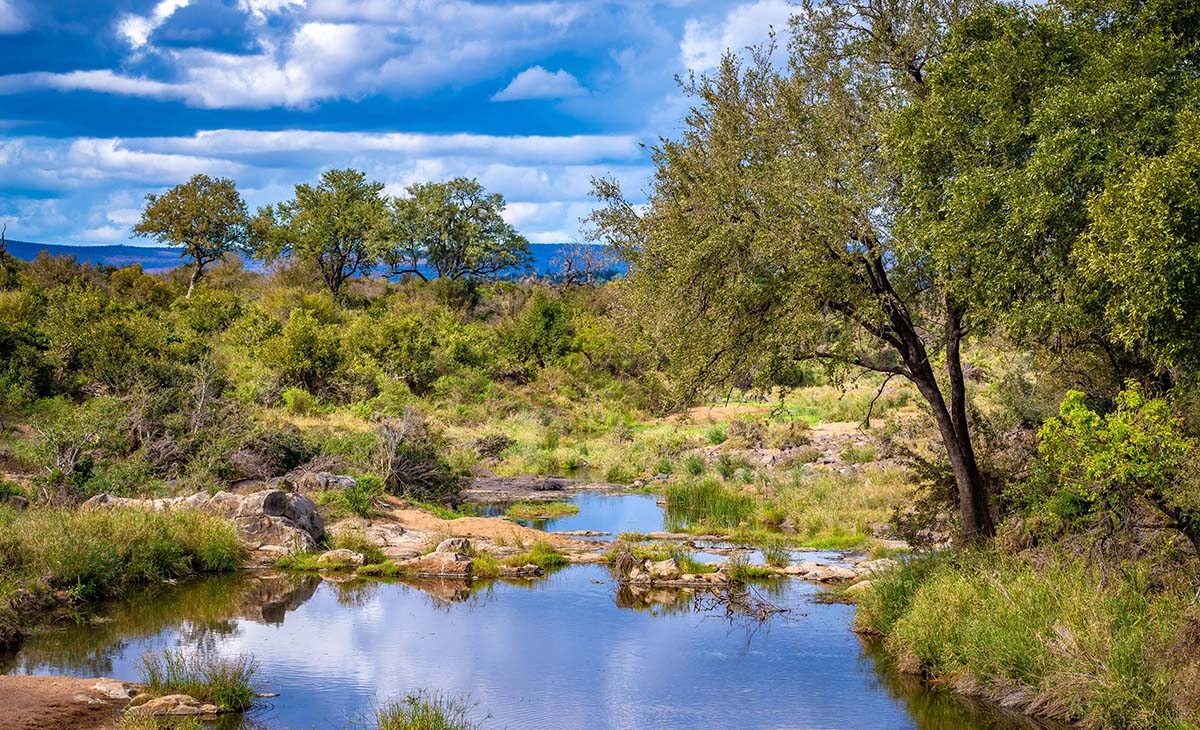 特色-南非克魯格國家公園獵奇12日之旅-克魯格國家公園Kruger National Park