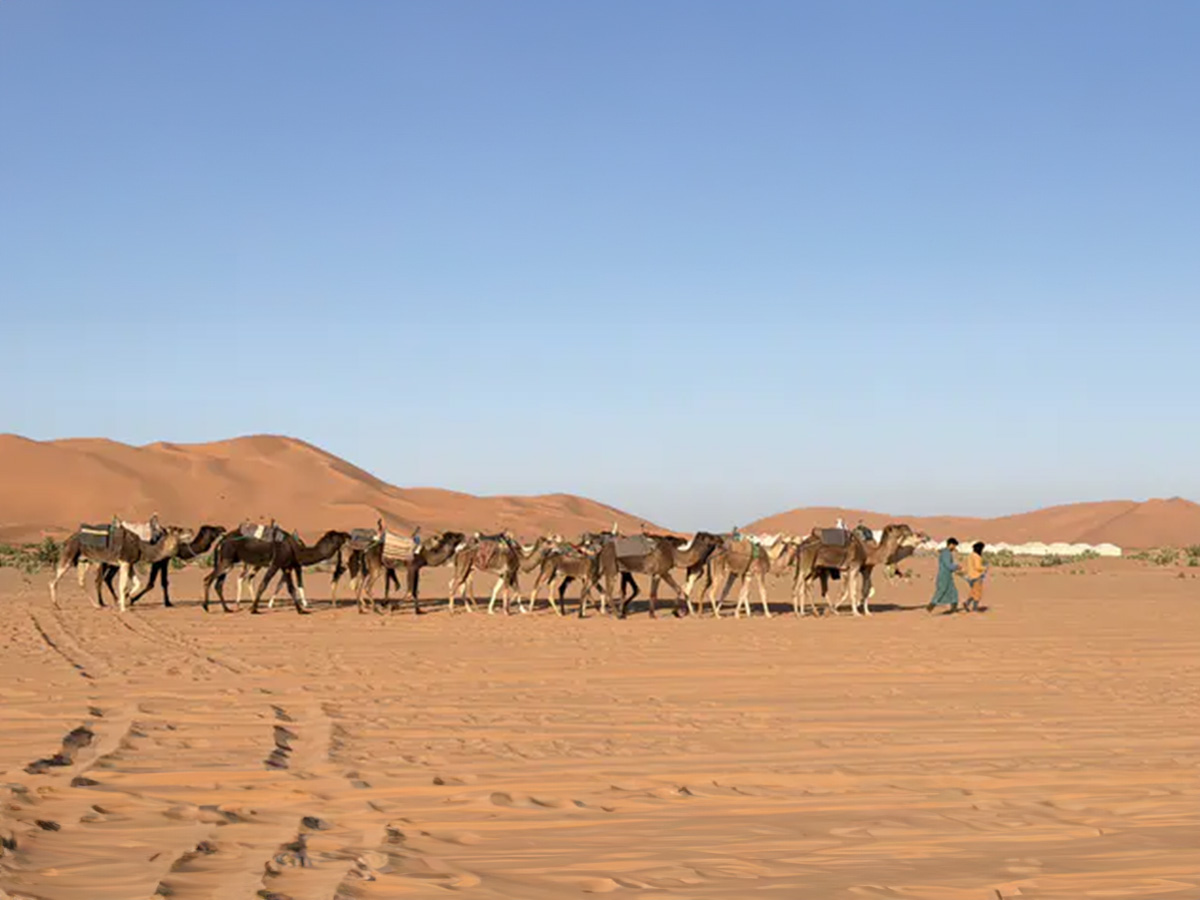 遊記-黛莉黛西分享
