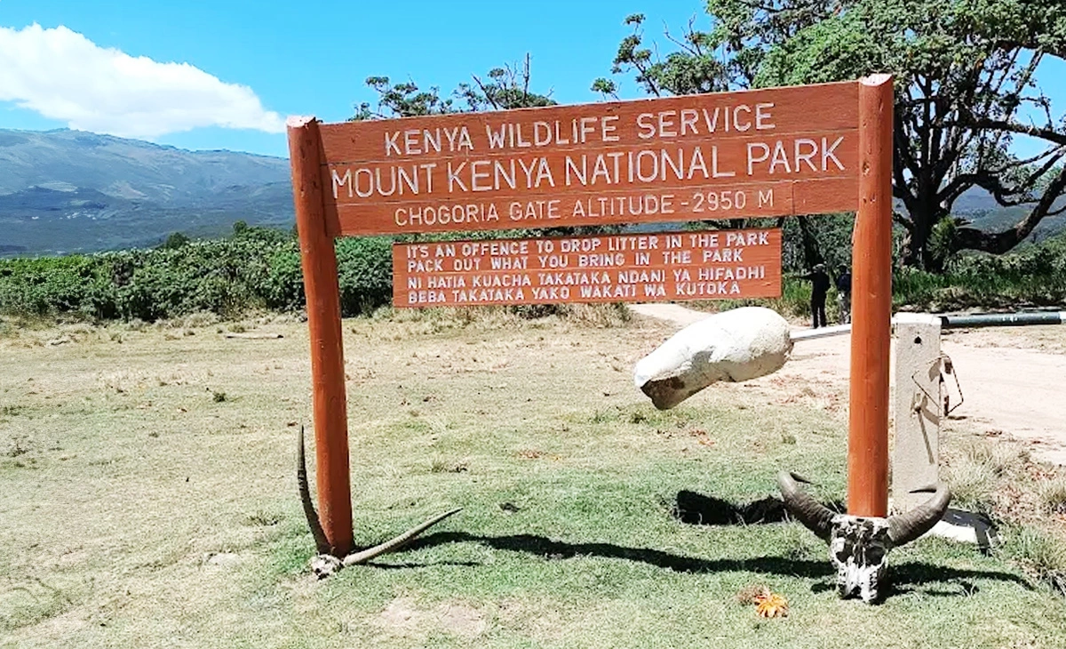 行程-肯亞精選8天-《肯亞山國家公園》Mount Kenya National Park