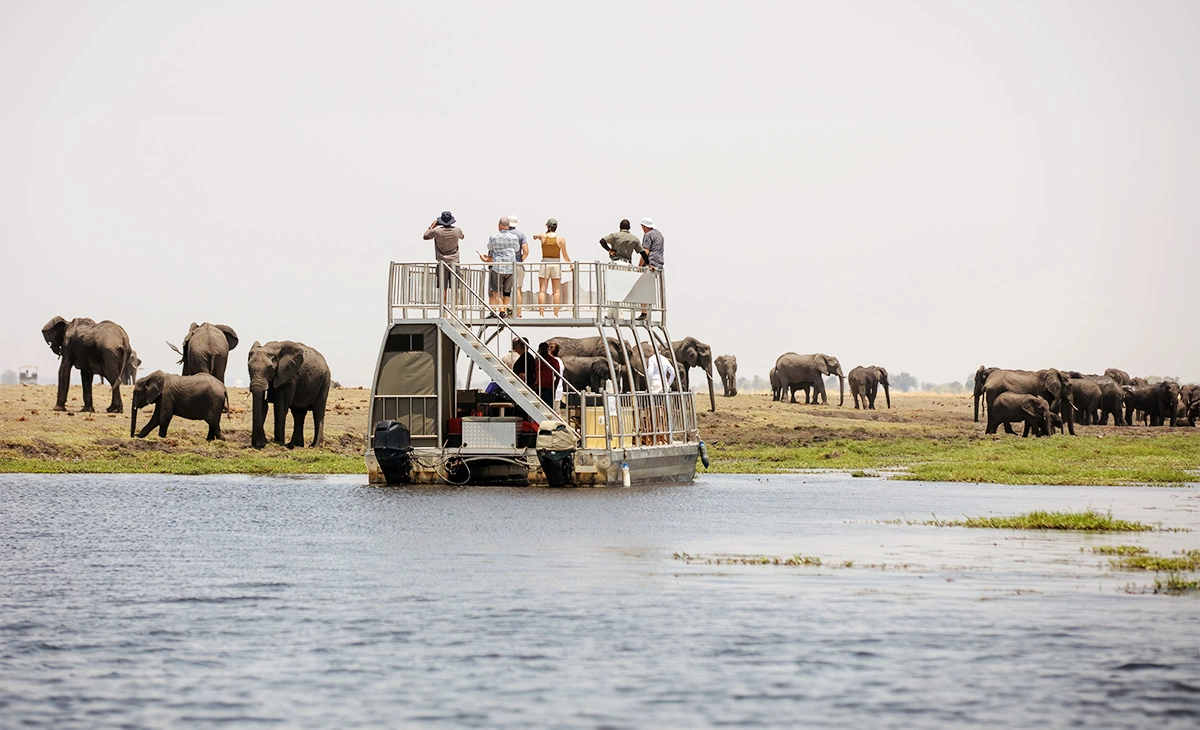 特色-尚比亞、玻茲瓦納、辛巴威三國12天- 丘比國家公園Chobe National Park