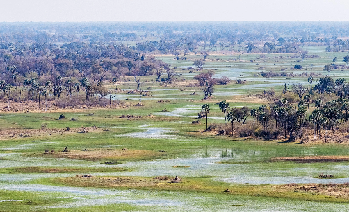 特色-尚比亞、玻茲瓦納、辛巴威三國12天-奧卡萬戈三角洲Okavango Delta