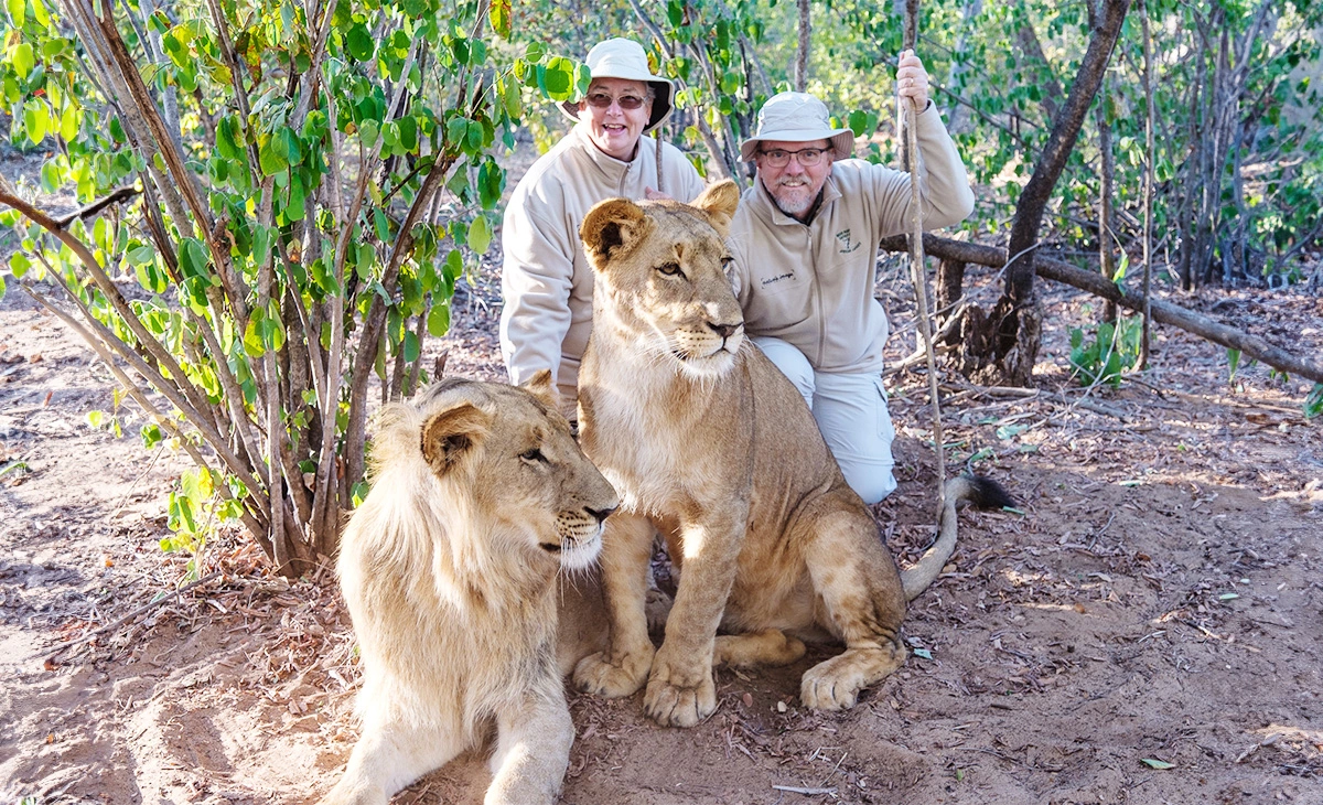 特色-尚比亞、玻茲瓦納、辛巴威三國12天-與獅子散步活動Walking with lions in Zimbabwe
