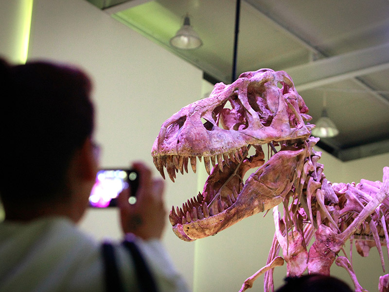 行程-蒙古-恐龍博物館