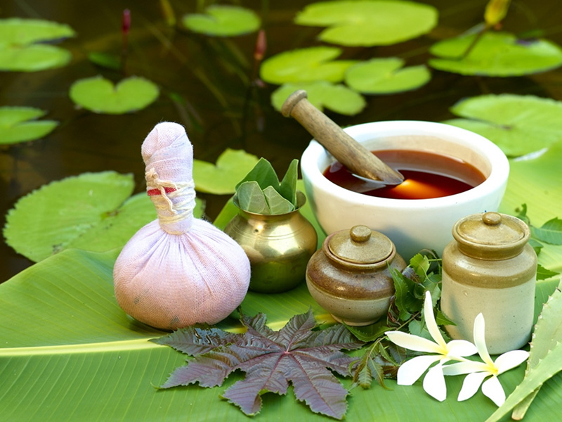 行程-印度-阿育吠陀SPA