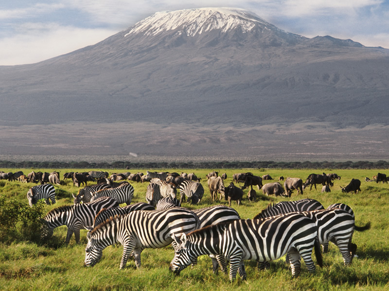 景點-肯亞-安博塞利和吉利馬札羅山