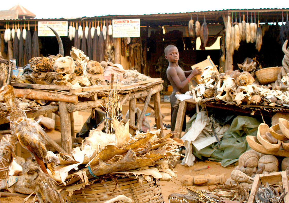 景點-特色-多哥