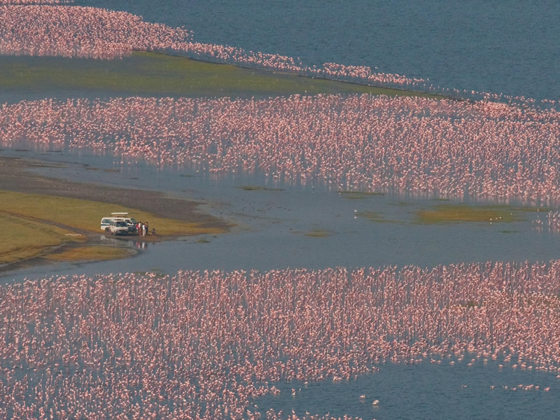 景點-肯亞-埃爾門泰塔湖
