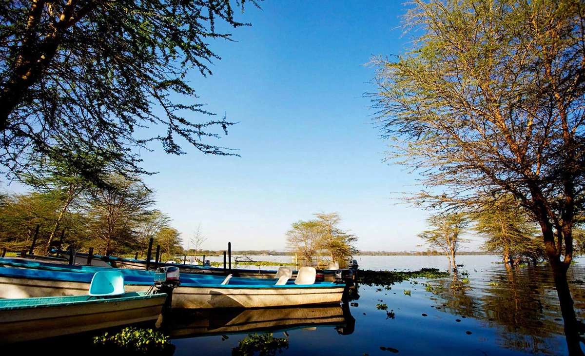 行程-肯亞精選8天-《那瓦夏湖區》Lake Naivasha