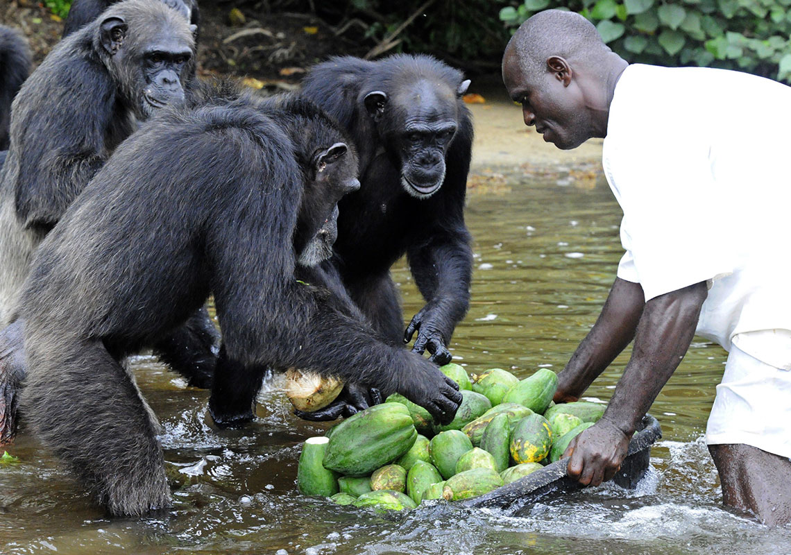 景點-特色-賴比瑞亞