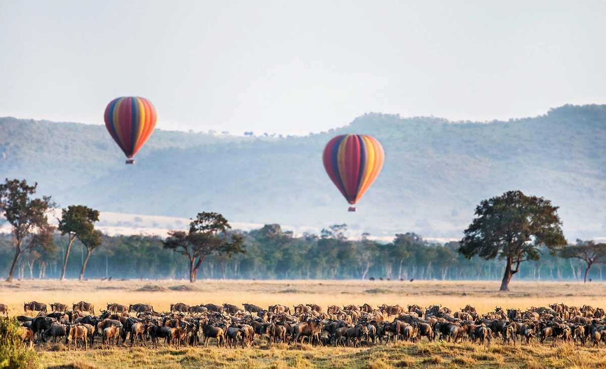 行程-肯亞精選8天-《馬賽馬拉國家公園》自費活動︰熱氣球