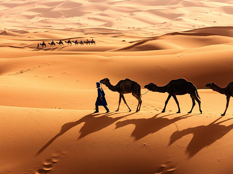 景點-摩洛哥-撒哈拉沙漠