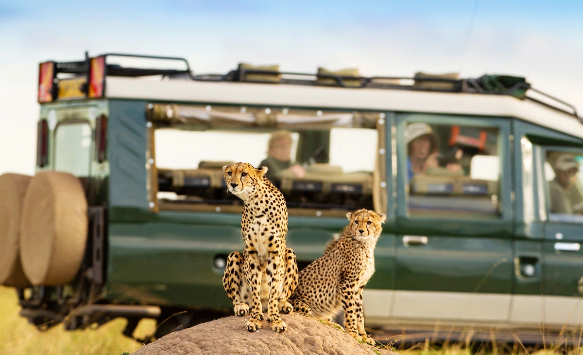 行程-肯亞精選8天-《馬賽馬拉國家公園》safari