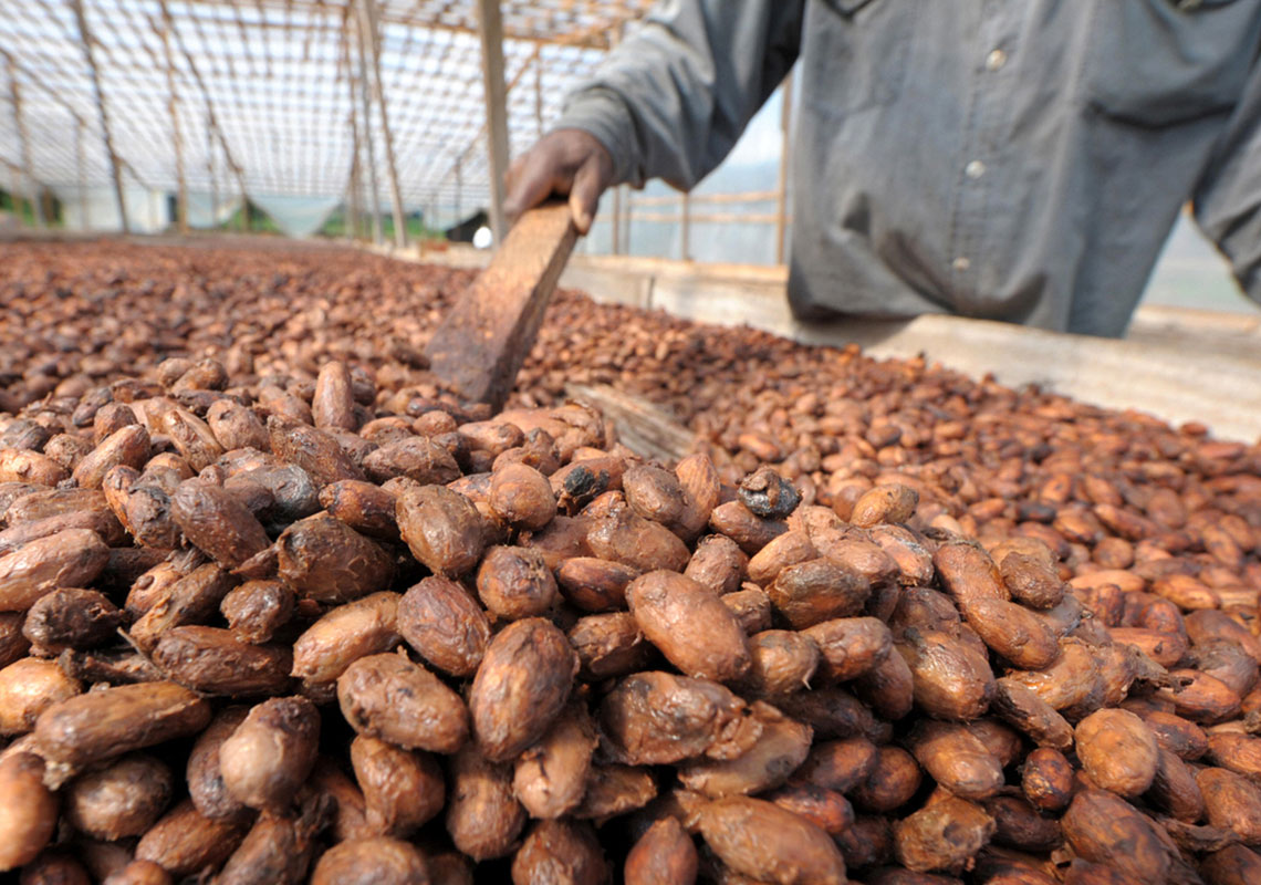 景點-特色-象牙海岸