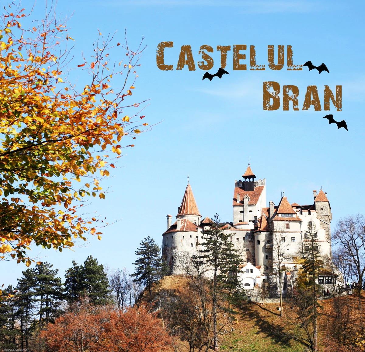 達人部落-佳繽故事-永遠的吸血鬼德古拉伯爵