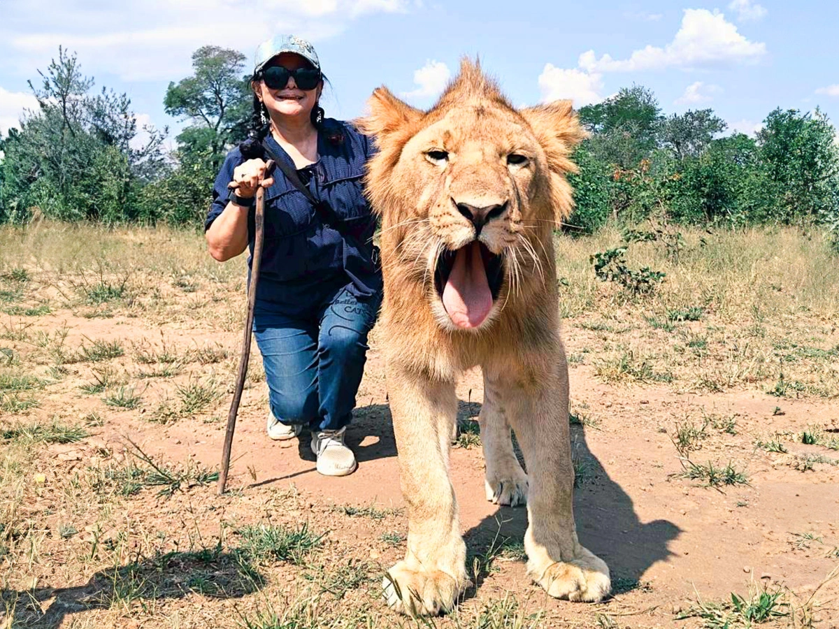 遊記-Shirley Lin分享